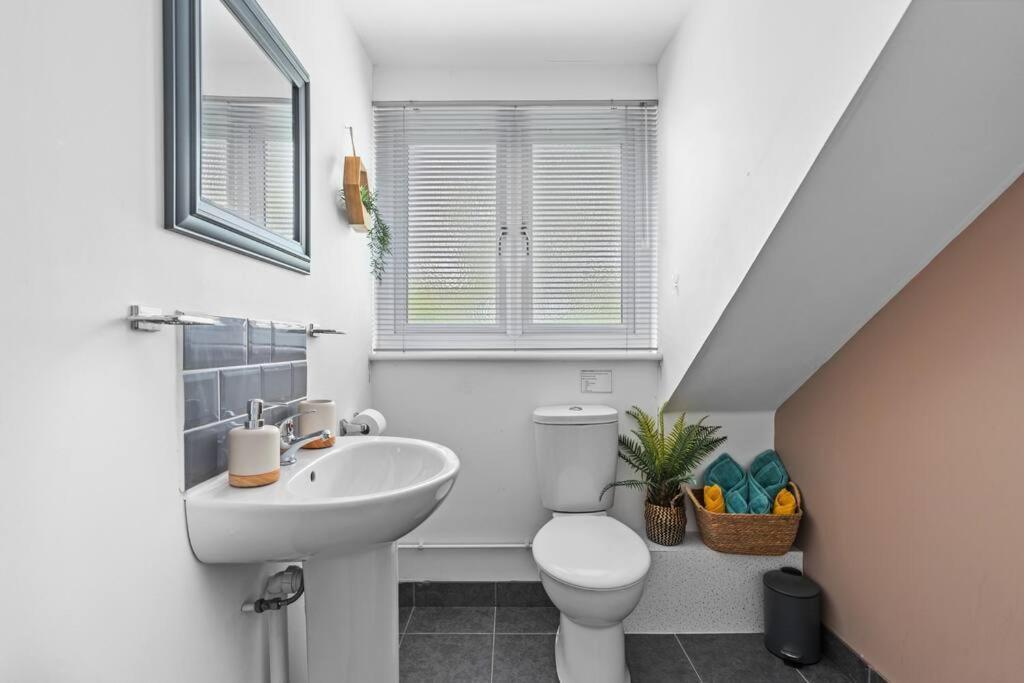 Comfortable Retreat Near City Centre- 1 Bed, 3 Guests Southampton Ngoại thất bức ảnh
